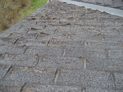 Curled Shingles Require Replacement